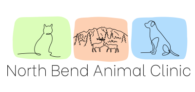 North Bend Animal Clinic